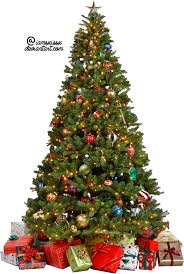 Xmas Tree Png 7 By Iamszissz On Deviantart ✓ free for commercial use ✓ high quality images.
