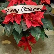 509 main st, la crosse, wi 54601, usa. Monet Floral Home Facebook