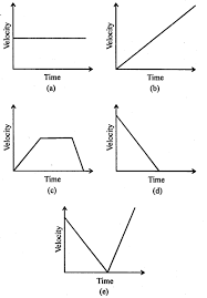 A New Approach To Icse Physics Part 1 Class 9 Solutions Motion In One Dimension 28 1 Anewapproachtoicsephysicspart2solutions Goyal Physics Solutions Class