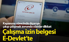 Seyahat i̇zin belgesinde bulunan bilgiler nelerdir? 58nf47 Eyeunm