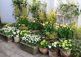 New Garden Design Trend Monoculture Container Design Showcased In The Work By Claus Dalby More On The Trend At Plants Garden Containers Container Gardening
