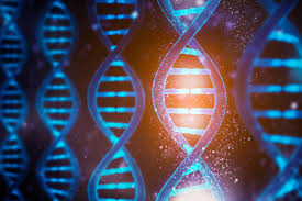 Dna is the molecule that holds the instructions for all living things. Biochemists Switch Dna Functions On And Off Using Light