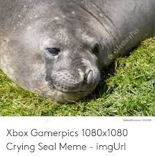 < > all xboxgamerpics are designed at the optimal resolution (1080px x 1080px), are provided as a transparent png for xbox and jpg for all of your other social media needs. Featurepicscom 11015700 Torepics Re Featurepics Xbox Gamerpics 1080x1080 Crying Seal Meme Imgurl Crying Meme On Me Me