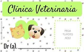 Cómo se dice veterinario en inglés? Yo Quiero Ser Veterinario Juego De Rol Para Ninos Imprimibles Mama Nene Maternidad Y Recursos Educativos