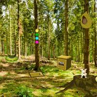 The coolest room escape games and point and click are waiting for you! Play Wow Summer Forest Escape At Wowescape Com Enjoy To Play