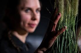 FR 1.3. SA 2.3. SO 3.3. MO 4.3. DI 5.3. MI 6.3. DO 7.3. FR 8.3. SA 9.3. SO  10.3. MI 13.3. DO 14.3. FR 15.3. SA 16.3. SO 17.3. MO