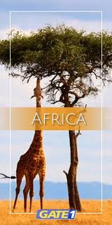 Get traveling in 2021 and receive up to $750 back when you pay in full. Gate 1 Travel Gate1travel Profile Pinterest