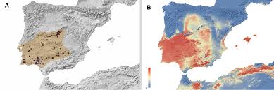 Catalogue, distribution, taxonomic notes, and conservation of the Western  Palearctic endemic hunchback beetles (Tenebrionidae, Misolampus)