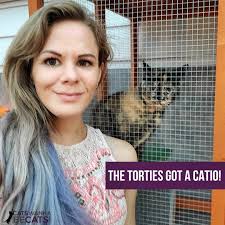 CatsWannaBeCats.Com (@catswannabecats) • Instagram photos and videos