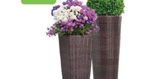 Planters Aldi 15 Each Rattan Planters Tall Planters Tall Planters Front Door