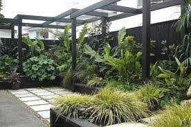 They're nearly impossible for even the lightest green thumb to kill. Low Maintenance Garden Plants Easy Care Garden Design Landscapeonline Garden Design