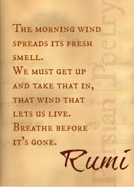 Rumi Persian Poetry Rumi Quotes Rumi Hafez Quotes