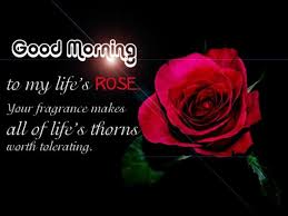 good morning photo के लिए इमेज परिणाम