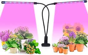 Amazon Com Plant Grow Light With Timing Function Canagrow 40w 40 Led Plant Grow Lamps For Indoor Plants Dual Head Timing Grow Light 3 9 12h Timer 9 Dimmable Levels 360 Degree Adjustable Gooseneck Home Improvement