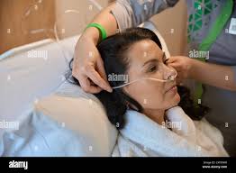 Two attaches hi-res stock photography and images