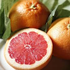Image result for Grapefruit