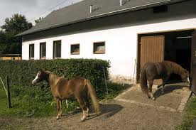 Liste der beliebtesten garten in chemnitz; Botanischer Garten Stadt Chemnitz