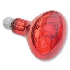 Infrared Light Replacement Bulb