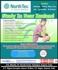 North Tech College In New Zealand Study In New Zealand New Zealand Study