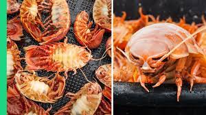 Japanese Seafood NIGHTMARE!!! RARE Deep Sea Creature Cooking!! - YouTube