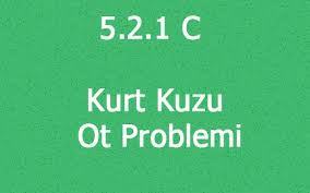 5 2 1 C Kurt Kuzu Ot Problemi
