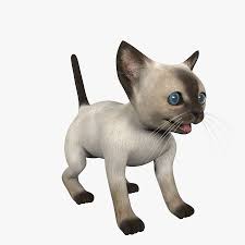 Find & download free graphic resources for kitten kittens. Kitten Siamese 3d Model 49 Max Obj Fbx 3ds Free3d
