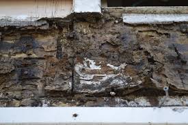 Exposed Section Of The Balcony Revealed Termite Damage And Woodrot Photo Courtesy Robert Clayton Termite Damage Balcony Termites