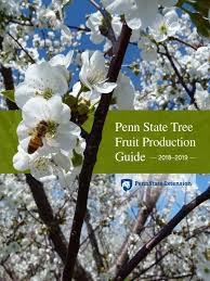 Plant disease clinic at penn state provides diagnostic, management services. Tree Fruit Production Guide 1 Pdf Apple Soil