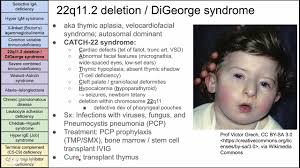 Image result for Humoral Immunodeficiency