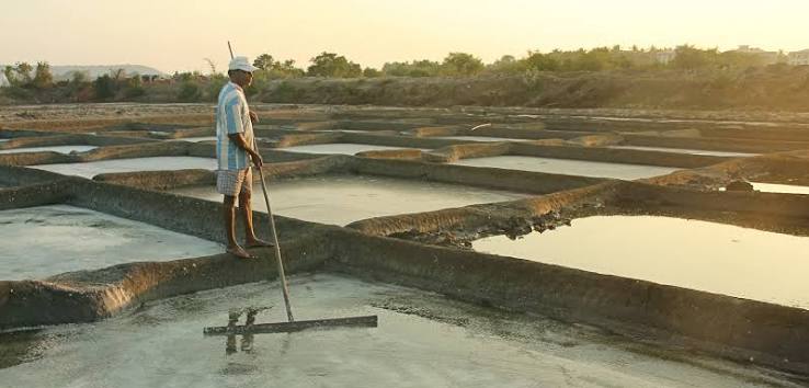 Coastal Job: Artisanal Salt Maker | Hakai Magazine