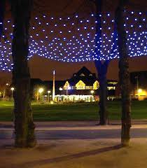 Pin On Christmas Net Lights