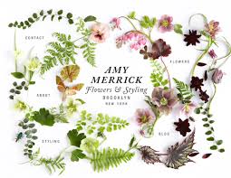 High to low sort by sales rank. Friday Flowers Amy Merrick Louise Rastall