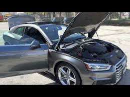 Image result for Suzuka Gray 2018 A5