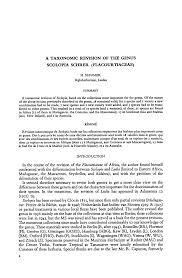 Image result for Scolopia stolzii