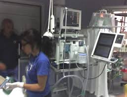 Cos'è, quali sono i sintomi e come uccide. Ictus Cerebri Stroke O Vasculopatia Cerebrale Acuta O Colpo
