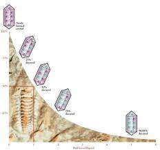 However, more people have heard of this radiometric dating system than the others used in geology, because radiocarbon dating is used extensively in archaeology. Evolution Radiometric Dating Pathwayz