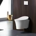 Residential wall mounted toilet