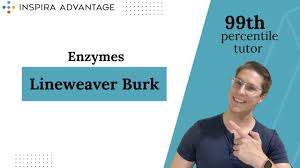 Solved: In The Below Graph, Which Line Best Represents The Lineweaver-Burk  Plot Obtained Exhibit . [Math]