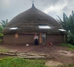 Image result for Gutenbergia rueppellii