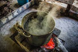 Breaking Down The Brew Examining The Plants Commonly Used In Ayahuasca