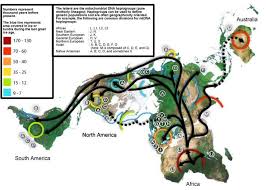 World Map Of Human Migrations With The North Pole At Center Africa Harboring The Start Of The Migration Is At Th Human Migration Prehistory Human Evolution