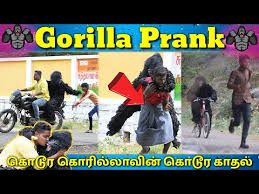 Tamil medium pasanga channel is an infotainment youtube channel which delivers entertaining videos in a commercial format with information. Download Jaaimanivel Prank 3gp Mp4 Codedwap