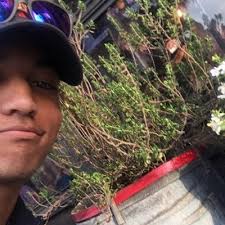 Cary Greene (@cary_greene3)