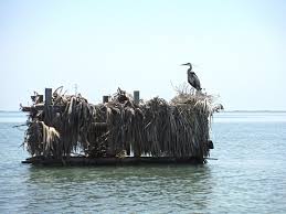 See full list on ducks.org Common Disputes And Duck Blind Mistakes Made On The Texas Coast