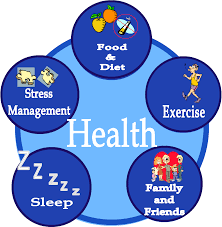 Short essay on health and wellness, example essay about my dream job essay on our country songs telugu. Can A Healthy Life Improve The Economic Health Of Your Country Quora