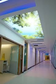 Pin By Sylvie Chagnon On Screens Hospital Interior Design False Ceiling Design Ceiling Design