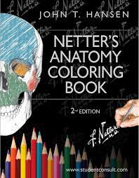 Beeline reader uses subtle color gradients to help you read more quickly and efficiently. Calameo Netter S Anatomy Coloring Book