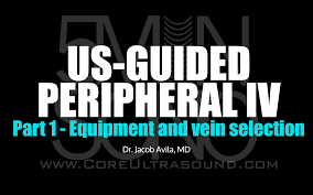 Image result for Peripheral IV Access