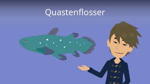 Sing along with this cover song version of the baby shark song using only a vo. Blobfisch Einfach Erklart Mit Steckbrief Mit Video