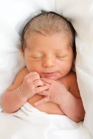 Krista Dalakian (@krista_dalakian)